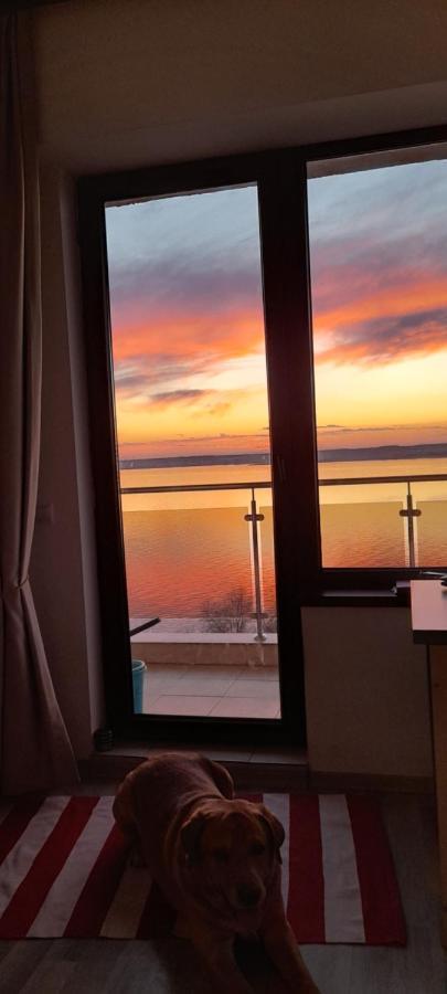 Bella Vista Summerland Mamaia Esterno foto
